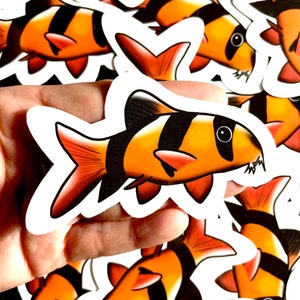 Pegatinas de locha payaso / Pegatinas de peces / Pegatinas de acuario / Calcomanía de vinilo resistente al agua y a la intemperie / Computadora portátil, botella de agua, regalos