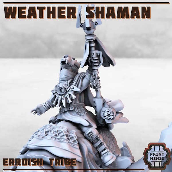 Weather Shaman Erroish Tribe | Nomad Stonebeast Rider | 28mm 32mm Heroic Scale