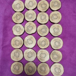 BLANK FOR RUNES (Aprikosenwurzel) - die Kraft der vier Elemente