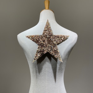 Può includere: Un grande patch a forma di stella dorata con paillettes iridescenti. Il patch è cucito su un manichino di stoffa bianca.