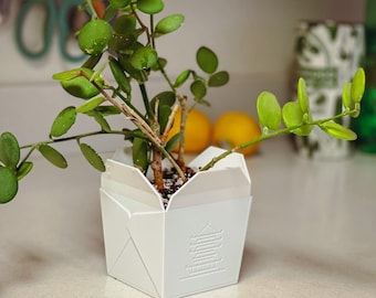 Chinese Take-Out Planter