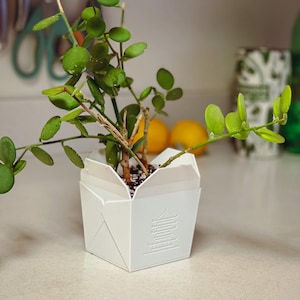 Kinesisk takeaway-planter
