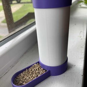 Quail and Chick Water Feeder Containers – MULTIPLE COLORS!