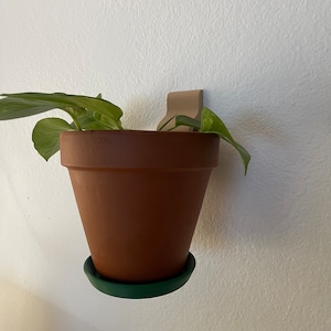 Puede incluir: Una maceta de terracota con un platillo verde, que contiene una planta de interior con hojas verdes, está montada en una pared beige con un gancho de plástico beige.