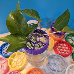 Mason Jar Propagation Lid