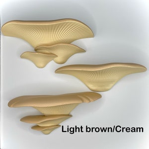 Floating Mushroom Shelfs 3 pack