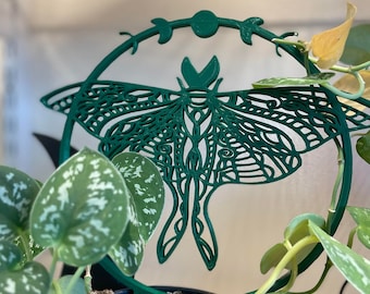 Death Moth Moon Trellis