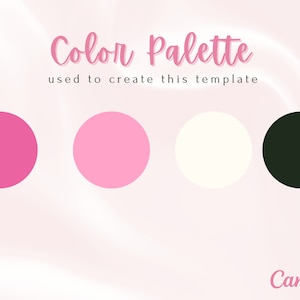 Influencer Media Kit Template, Pink Design, Canva (PDF) - Etsy