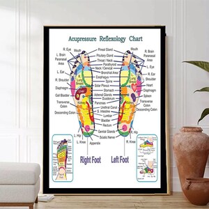 poster Voetreflexologie en voetreflexologie Mssᴀge Mᴀssᴀge Therᴀpist Voetreflexologie