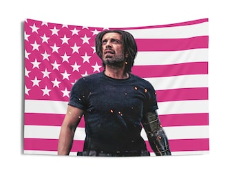 Bucky Indoor Wandbehänge, Sebastian Stan Pink Flagge