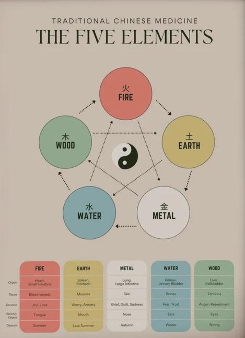 The Five Elements Poster Traditional Chinese Medicine - Etsy