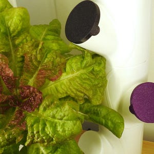 Complete Cap by JayBeeFarms - Pod Cap - Plant Spacer - Hydroponic Tower Gardening