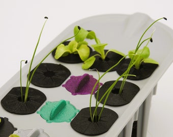 Algae Control Covers for Sprout Seed Starter Tray