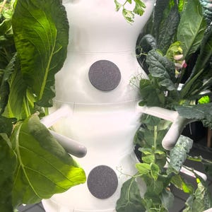 Pod Cap/Plant Spacer by JayBeeFarms - Compatible with Farmstand Nook