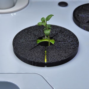 May include: A small green plant growing in a black plastic plant pot with a round hole in the center. The pot is sitting on a white surface.