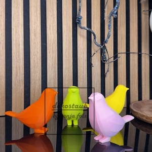 Könnte beinhalten: Eine Sammlung farbenfroher Vogelfiguren in Orange, Grün, Rosa und Gelb. Die Vögel stehen auf einer reflektierenden schwarzen Oberfläche vor einem Hintergrund aus vertikalen Holzpaneelen. Der Text "dekostaub by anja folz" ist sichtbar.