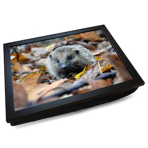 May include: A black lap desk with a picture of a hedgehog amongst fallen leaves. The hedgehog has a spiky coat and dark eyes. The leaves are various shades of brown and yellow.