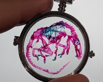 Faux Raptor Specimen Locket