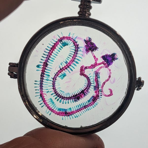 Faux Diaphonized Two Headed Viper Locket