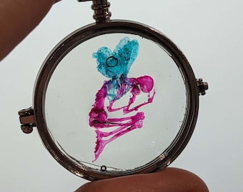 Faux Diaphonized Fairy Locket
