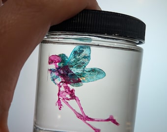 Diaphonized fairy