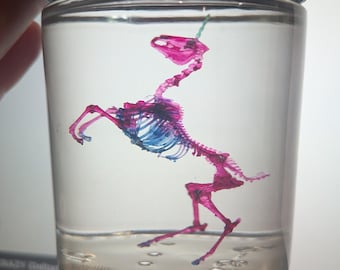 Diaphonisiertes Einhorn-Glas