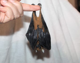 Faux 'Taxidermy' Bat (Read description!) Fruit bat false taxidermy gift
