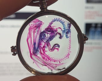 Faux Diaphonized Dragon Specimen Anhänger Geschenk Kuriositäten Kuriositäten