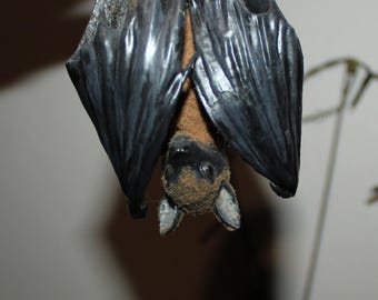 Faux 'Taxidermy' Bat (Read description!) Fruit bat false taxidermy gift