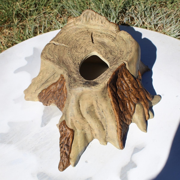 Nascondiglio di serpente nel tronco d'albero - Piccolo