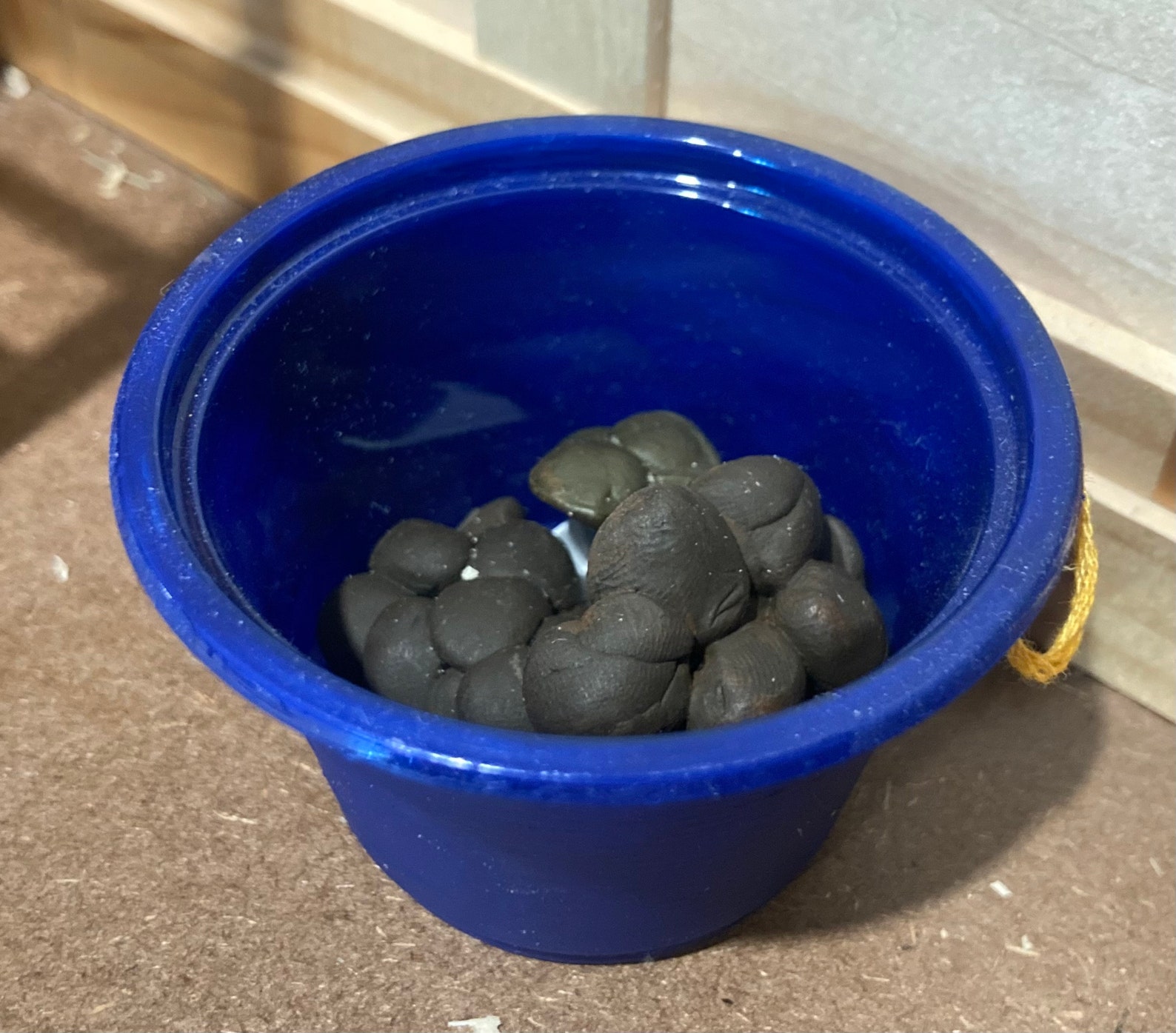 Model Horse Poop Realistic Props for Breyer Horses Etsy