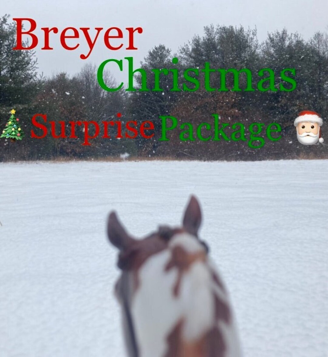 Breyer Christmas Surprise Package Etsy