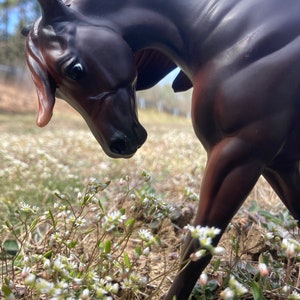 Donate to help support my shop and model horse hobby!!!!