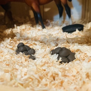 Model Horse Poop!!! Realistic props for Breyer horses!