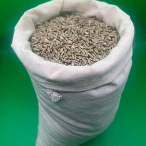 Grãos de centeio orgânico como substrato - Para um crescimento micelial resiliente e consistente.
