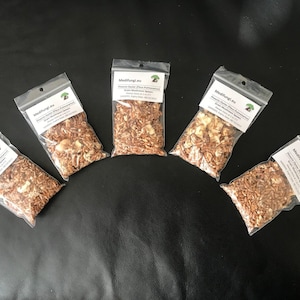 Best quality, fresh, mushroom mycelium spawn, on rye grain - 40g strain sample