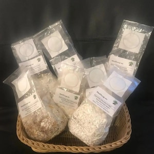 Färsk svampmycelium som leker på rågkorn