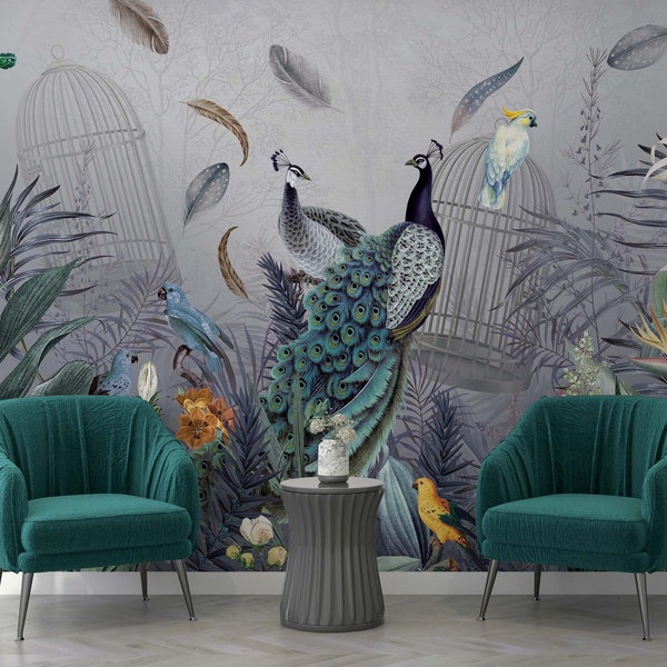 Crisp Where Can I Buy A Peacock Picture in 4K Crisp Where Can I Buy A Peacock Picture in 4K