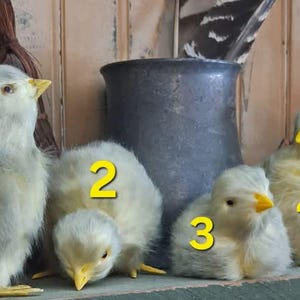 Prim Easter Chicks