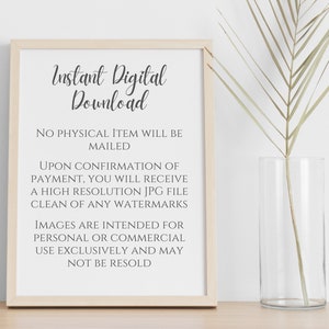 Pode incluir: Uma impress&atilde;o emoldurada com o texto "Download Digital Instant&acirc;neo" em escrita elegante. A moldura &eacute; de cor clara e a impress&atilde;o inclui texto adicional sobre a natureza digital do produto. Um vaso de vidro transparente com uma planta seca est&aacute; &agrave; direita.