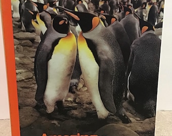 Amazing Animal Groups