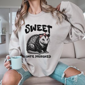 Possum Sweatshirt, Meme Shirt, Funny Opossum Shirt, Trendy Trashcore Shirt, Possum Gifts, Sarcastic Sweatshirt, First of All I&#39;m A Delight