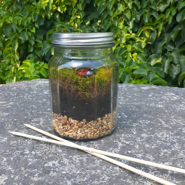 Diy Terrarium Kit: (Includes moss, ladybug rock, soil, jar, gravel, and everything you will need to assemble your new Terrarium)!(Metal lid)