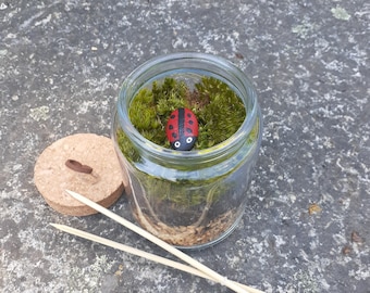 Diy Terrarium Kit: (Includes moss, ladybug rock, soil, jar, gravel, and everything you will need to assemble your new Terrarium)! (Cork lid)