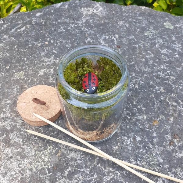 Diy Terrarium Kit: (Includes moss, ladybug rock, soil, jar, gravel, and everything you will need to assemble your new Terrarium)! (Cork lid)