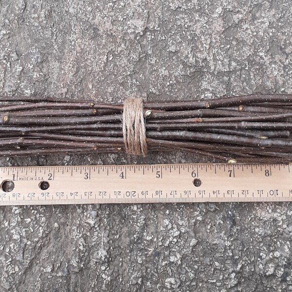 Birch stick bundle (20pcs 8")