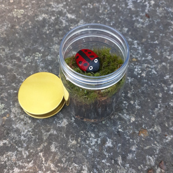 Diy Terrarium Kit: (Includes moss, ladybug rock, soil, jar, gravel, and everything you will need to assemble your new Terrarium)!(Gold lid)