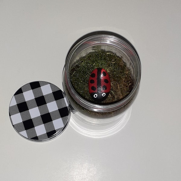 Diy Terrarium Kit: (Includes moss, ladybug rock, soil, jar, gravel, and everything you will need to assemble your new Terrarium)!(Plaid lid)