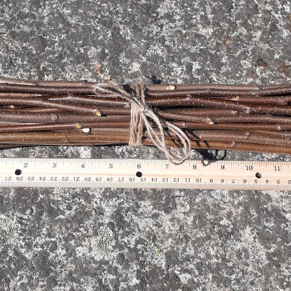 Birch stick bundle (20pcs 12")