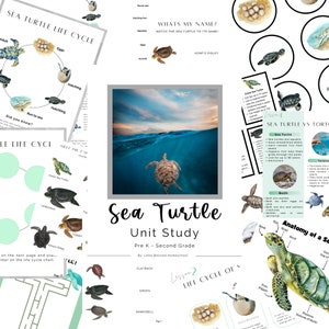 Sea Turtle Unit Study, Mini Sea Turtle Unit Study, Homeschool Science Unit Study, Sea Turtle Study for Homeschool, Instant Download PDF